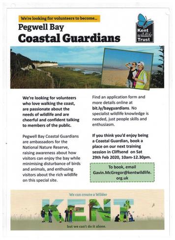  - Pegwell Bay - coastal guardians